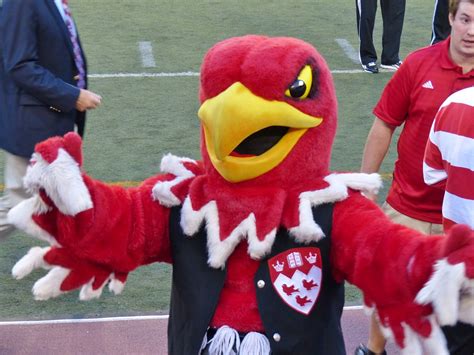 Different Versions of the McGill University Mascot: Exploring Variations